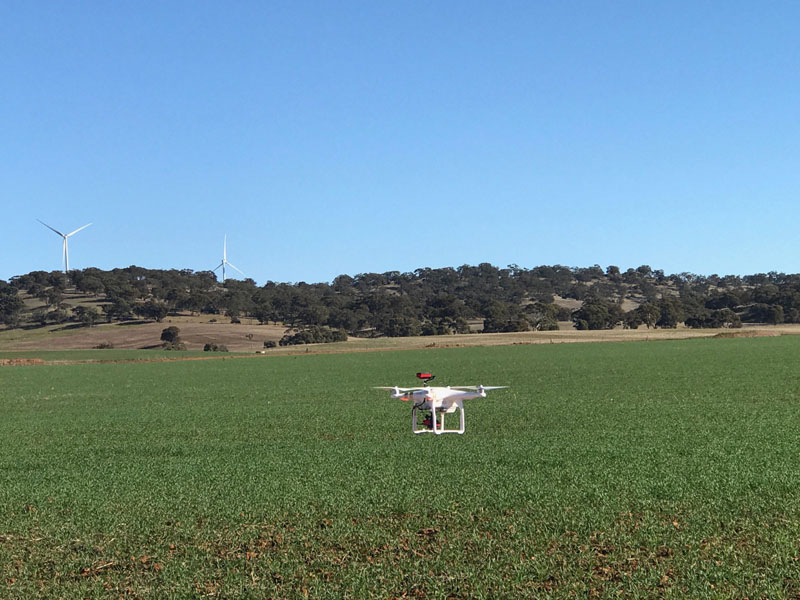 aerial drone crop analysis