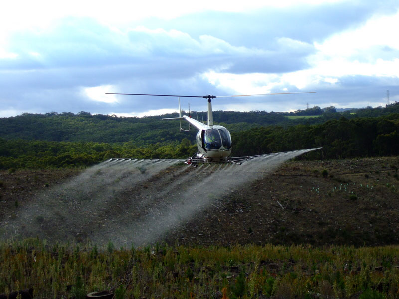 forestry spraying with county helicopters