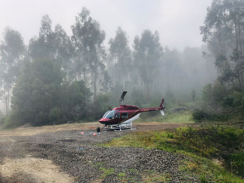 county helicopters stationary in forest