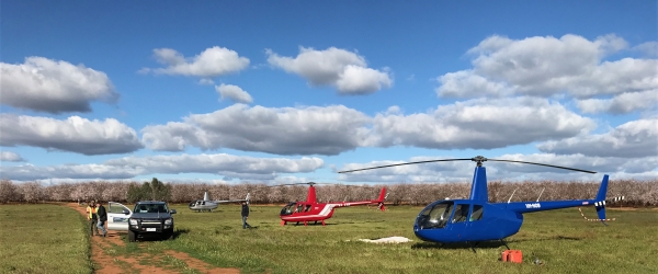 county helicopter fleet